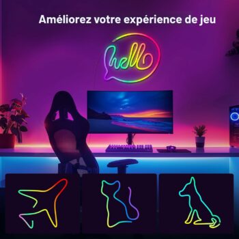 Bande lumineuse néon LED