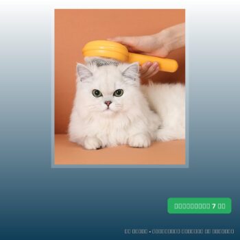 Pet Brush Comb Avoid Hairball Loose Hair Remover For Pet