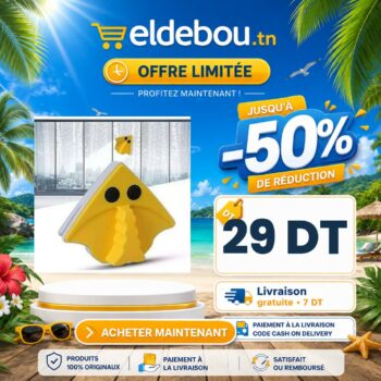 Lingette magnétique pour vitres